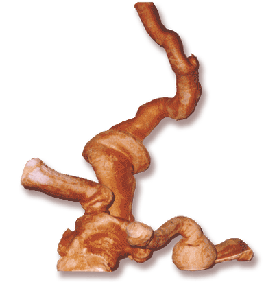 YouTube сайтындағы порнофотосуреттер мен бейнелер Емізіктерін, куннилингусты ысқылаған лесбиянкалардың суреттері